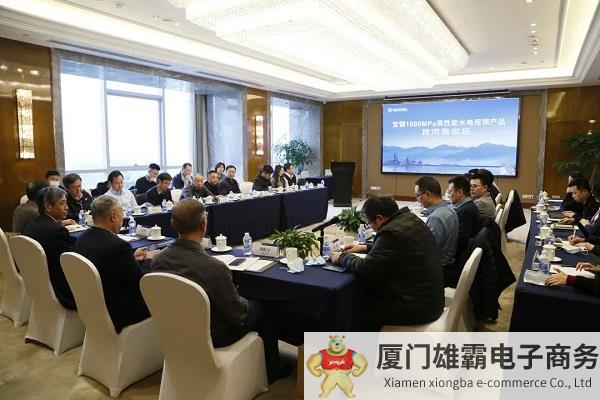 填补国内空白！宝钢1000MPa级高性能水电用钢通过产品评价